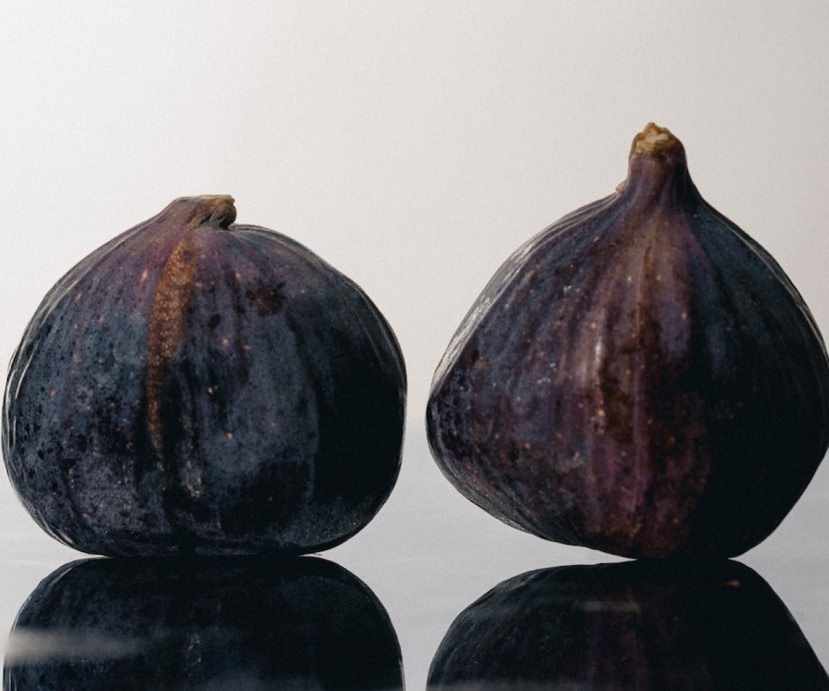 Collection Image